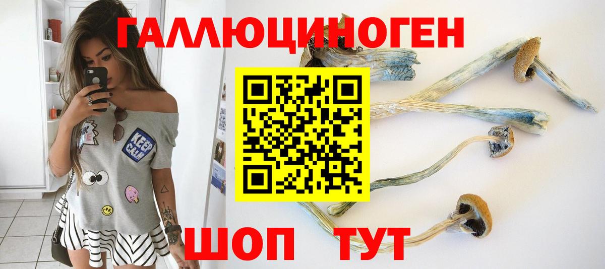 цены наркотик  Псилоцибиновые грибы GOLDEN TEACHER  Вход с VPN  Галлюциногенные грибы ЛСД  Бугуруслан 